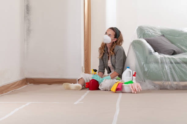 Reliable Mold Removal contractor in Conklin, MI by Mold Remediation HQ